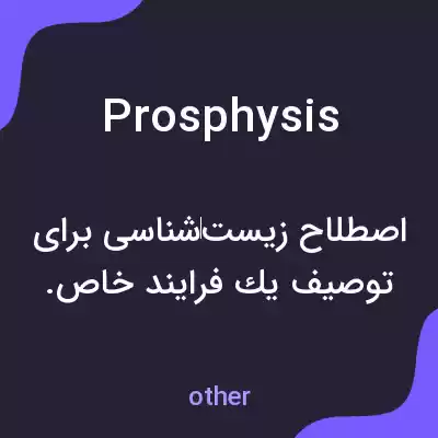 معنی prosphysis به فارسی معنی prosphysis به فارسی