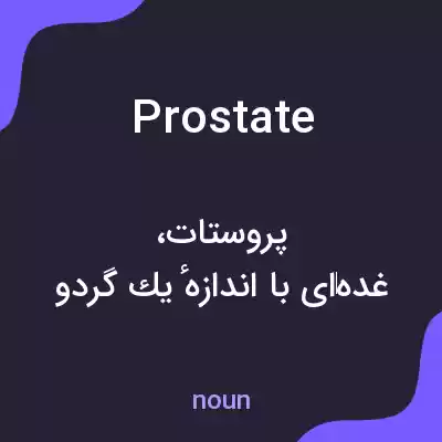 معنی prostate به فارسی معنی prostate به فارسی