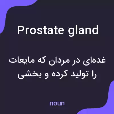معنی prostate gland به فارسی