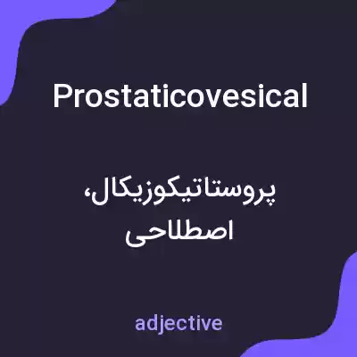 معنی prostaticovesical به فارسی معنی prostaticovesical به فارسی