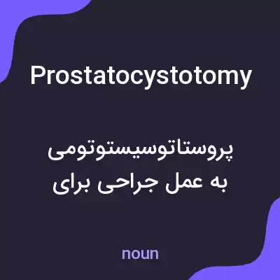 معنی prostatocystotomy به فارسی معنی prostatocystotomy به فارسی