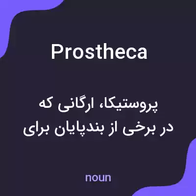 معنی prostheca به فارسی معنی prostheca به فارسی