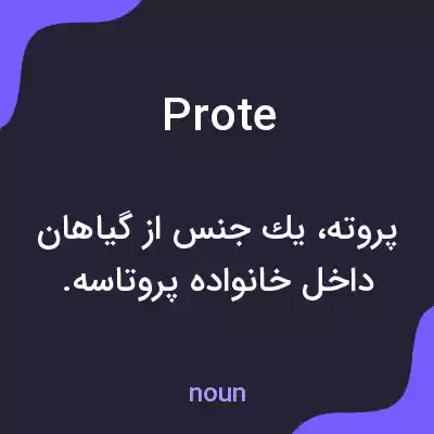 معنی prote به فارسی معنی prote به فارسی