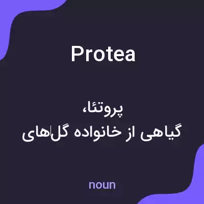معنی protea به فارسی معنی protea به فارسی