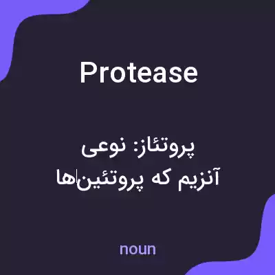 معنی protease به فارسی معنی protease به فارسی