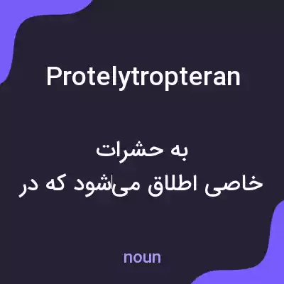 معنی protelytropteran به فارسی معنی protelytropteran به فارسی