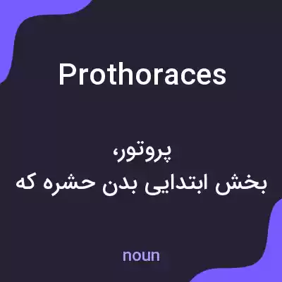 معنی prothoraces به فارسی معنی prothoraces به فارسی