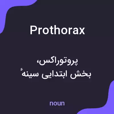 معنی prothorax به فارسی معنی prothorax به فارسی