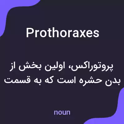 معنی prothoraxes به فارسی معنی prothoraxes به فارسی