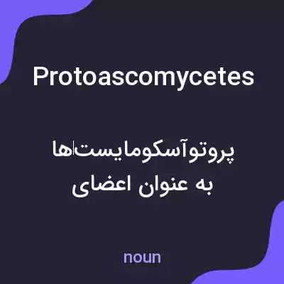 معنی protoascomycetes به فارسی معنی protoascomycetes به فارسی