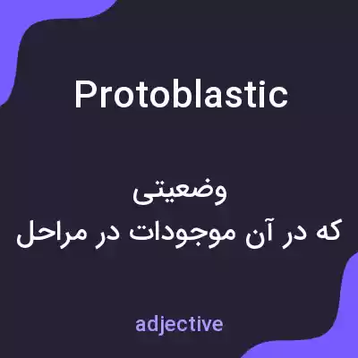 معنی protoblastic به فارسی