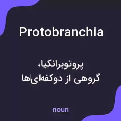 معنی protobranchia به فارسی