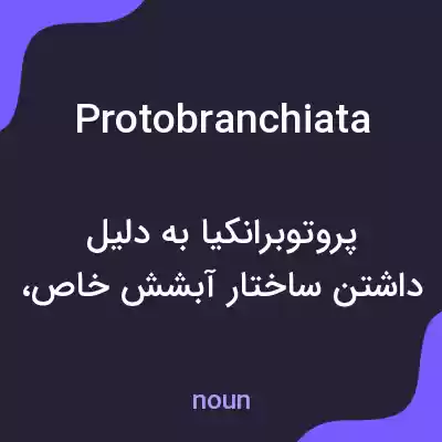 معنی protobranchiata به فارسی