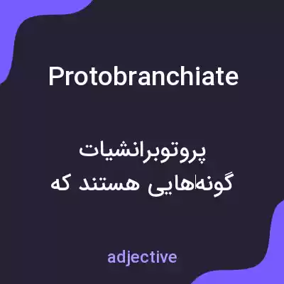 معنی protobranchiate به فارسی