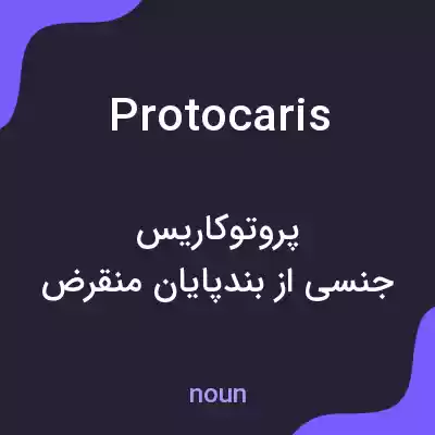 معنی protocaris به فارسی