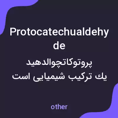معنی protocatechualdehyde به فارسی