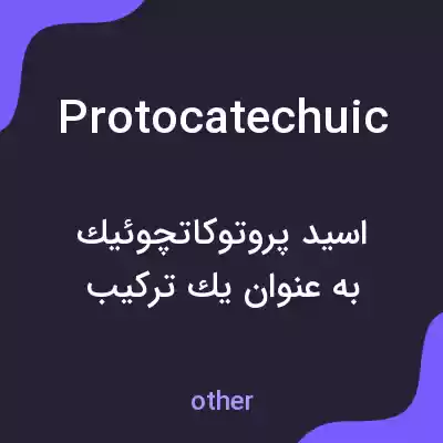معنی protocatechuic به فارسی