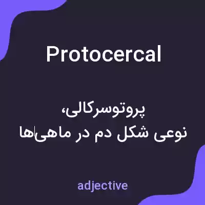 معنی protocercal به فارسی