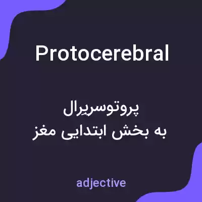 معنی protocerebral به فارسی