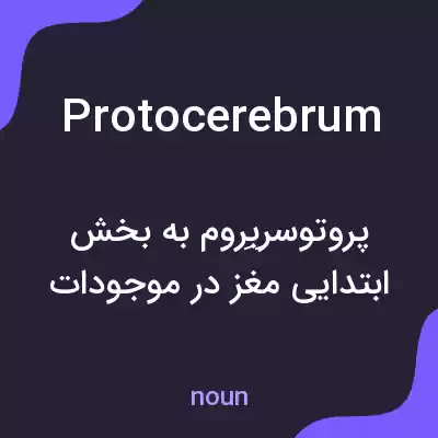 معنی protocerebrum به فارسی