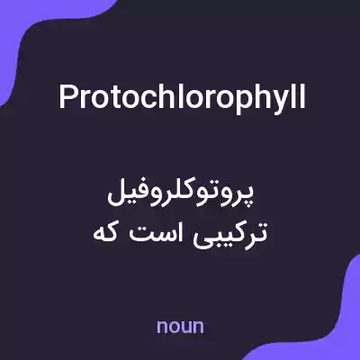 معنی protochlorophyll به فارسی