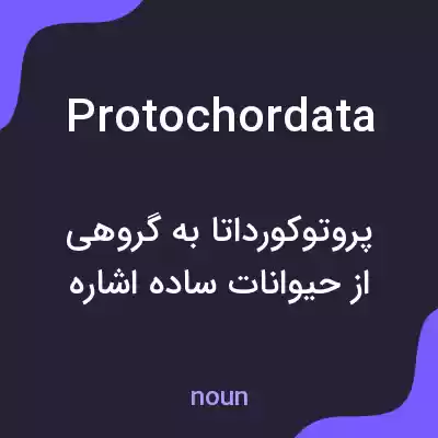معنی protochordata به فارسی معنی protochordata به فارسی