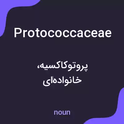 معنی protococcaceae به فارسی معنی protococcaceae به فارسی