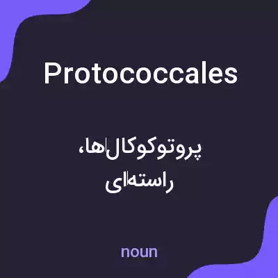 معنی protococcales به فارسی