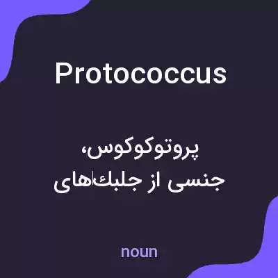 معنی protococcus به فارسی معنی protococcus به فارسی