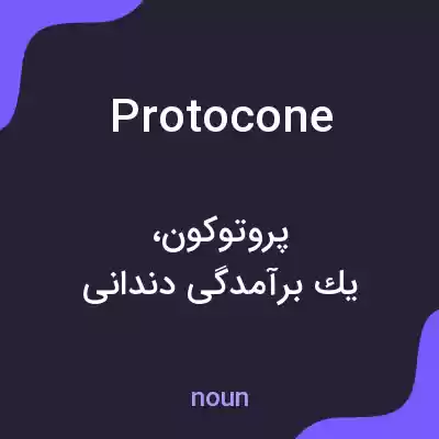 معنی protocone به فارسی معنی protocone به فارسی