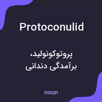 معنی protoconulid به فارسی معنی protoconulid به فارسی