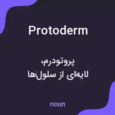 معنی protoderm به فارسی معنی protoderm به فارسی
