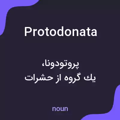 معنی protodonata به فارسی معنی protodonata به فارسی
