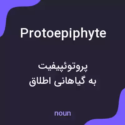 معنی protoepiphyte به فارسی معنی protoepiphyte به فارسی