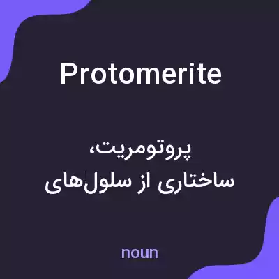 معنی protomerite به فارسی معنی protomerite به فارسی