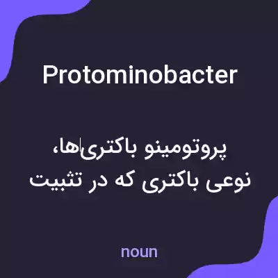 معنی protominobacter به فارسی معنی protominobacter به فارسی