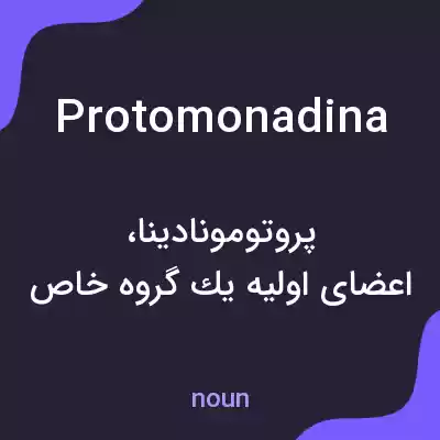 معنی protomonadina به فارسی معنی protomonadina به فارسی