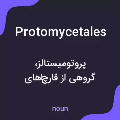 معنی protomycetales به فارسی معنی protomycetales به فارسی