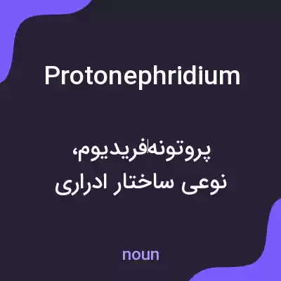 معنی protonephridium به فارسی معنی protonephridium به فارسی