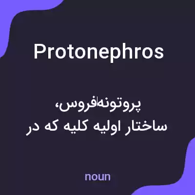 معنی protonephros به فارسی معنی protonephros به فارسی