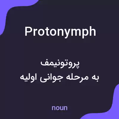 معنی protonymph به فارسی معنی protonymph به فارسی