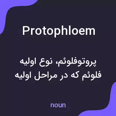 معنی protophloem به فارسی معنی protophloem به فارسی