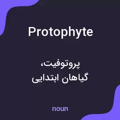معنی protophyte به فارسی معنی protophyte به فارسی