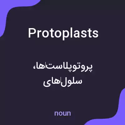 معنی protoplasts به فارسی معنی protoplasts به فارسی