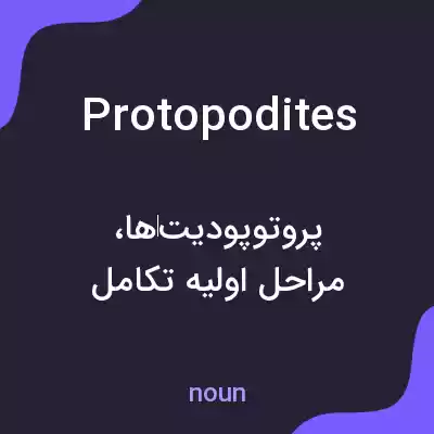 معنی protopodites به فارسی معنی protopodites به فارسی