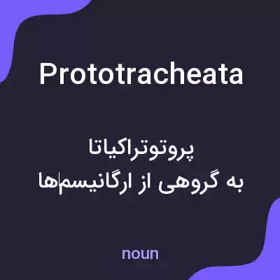 معنی prototracheata به فارسی معنی prototracheata به فارسی