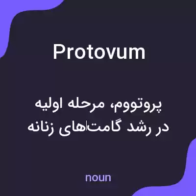 معنی protovum به فارسی معنی protovum به فارسی