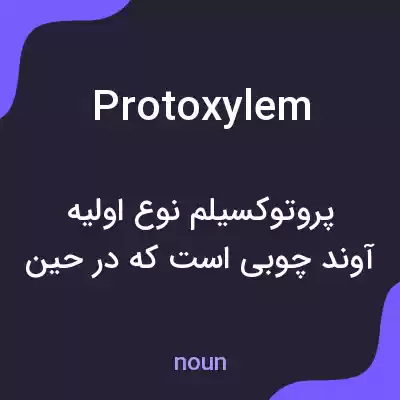 معنی protoxylem به فارسی معنی protoxylem به فارسی