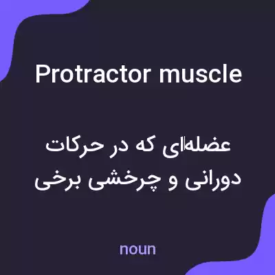 معنی protractor muscle به فارسی معنی protractor muscle به فارسی