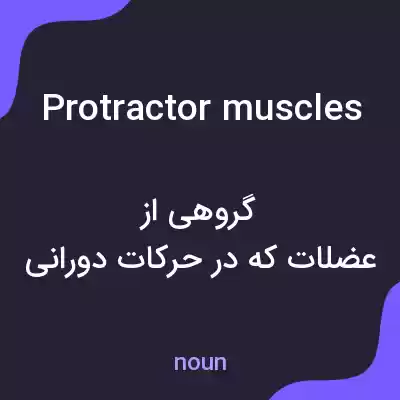 معنی protractor muscles به فارسی معنی protractor muscles به فارسی